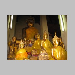 posagi zwykle kapia od zlota.html